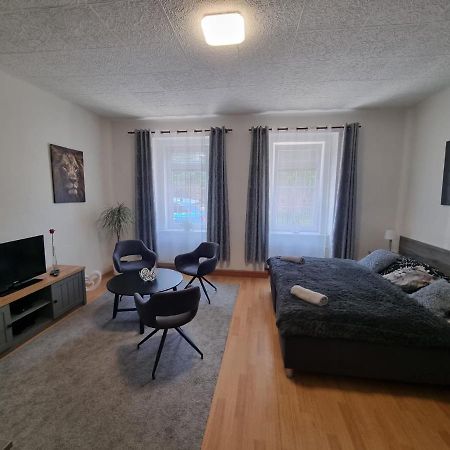Apartmány Černý Tulipán # 1 Plzeň Kültér fotó