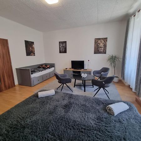 Apartmány Černý Tulipán # 1 Plzeň Kültér fotó