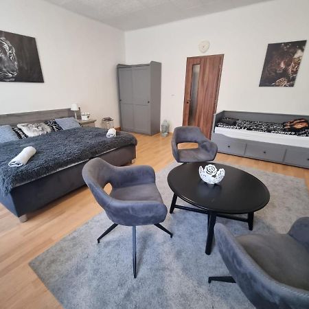 Apartmány Černý Tulipán # 1 Plzeň Kültér fotó