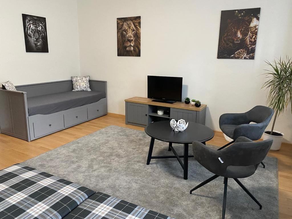 Apartmány Černý Tulipán # 1 Plzeň Kültér fotó
