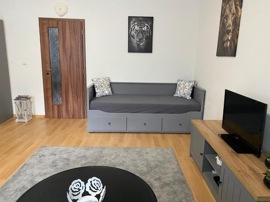 Apartmány Černý Tulipán # 1 Plzeň Kültér fotó
