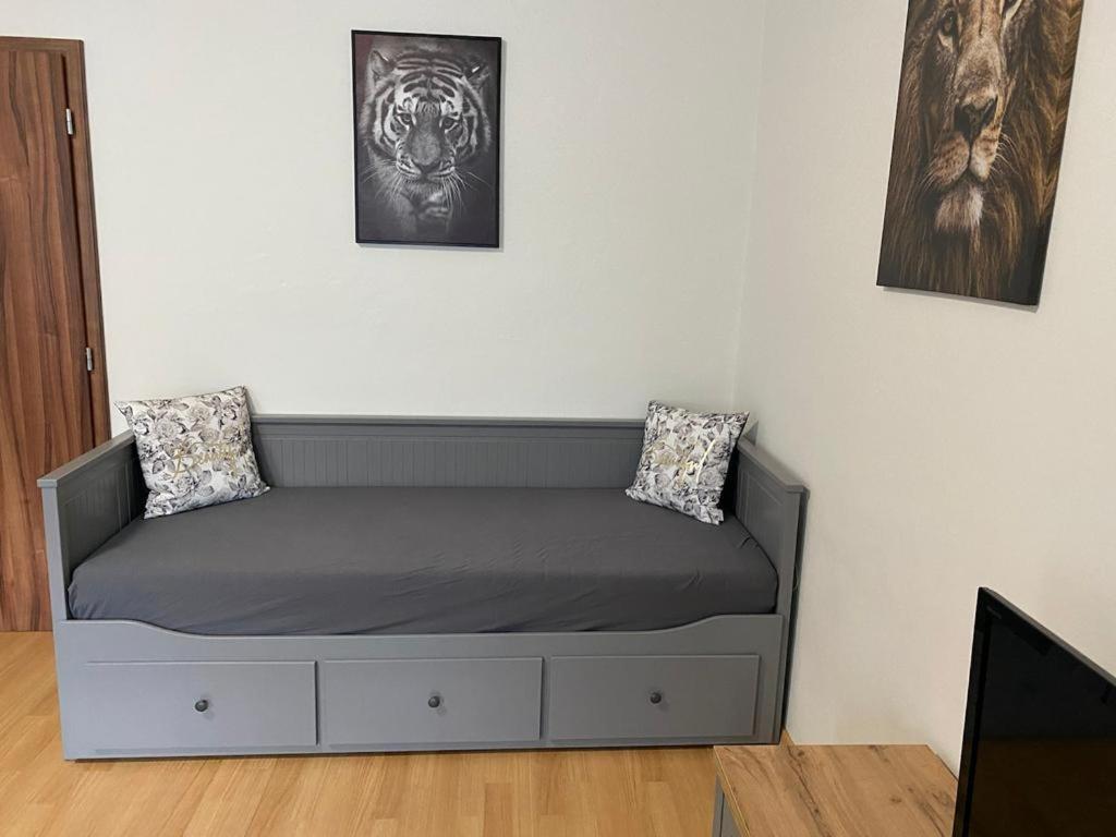 Apartmány Černý Tulipán # 1 Plzeň Kültér fotó