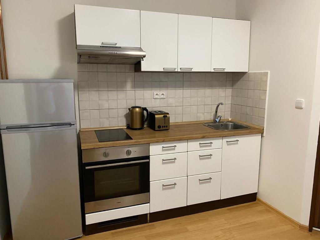Apartmány Černý Tulipán # 1 Plzeň Kültér fotó