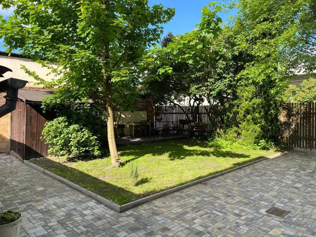 Apartmány Černý Tulipán # 1 Plzeň Kültér fotó