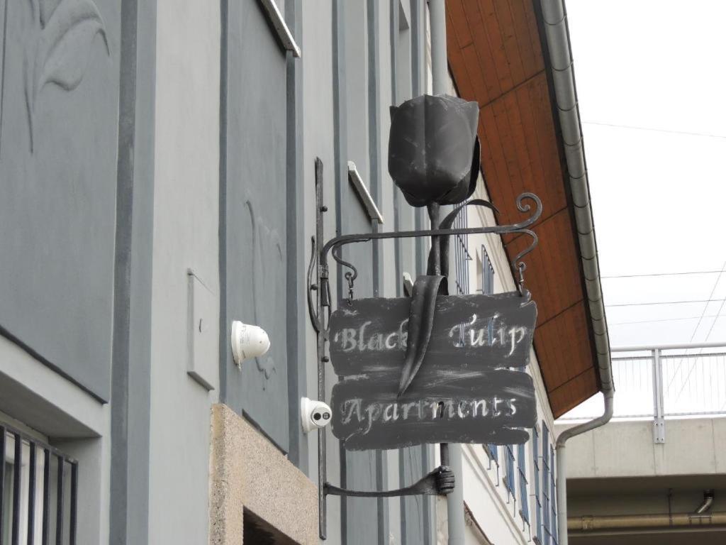 Apartmány Černý Tulipán # 1 Plzeň Kültér fotó