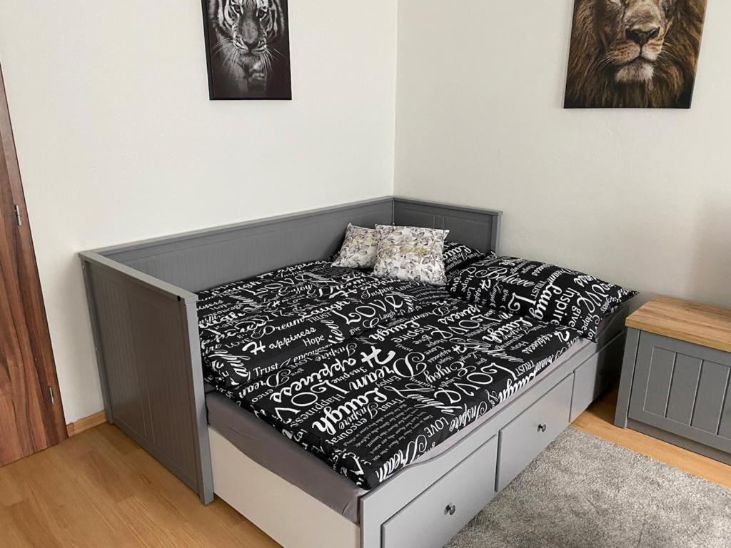 Apartmány Černý Tulipán # 1 Plzeň Kültér fotó