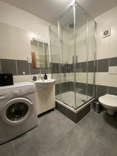 Apartmány Černý Tulipán # 1 Plzeň Kültér fotó