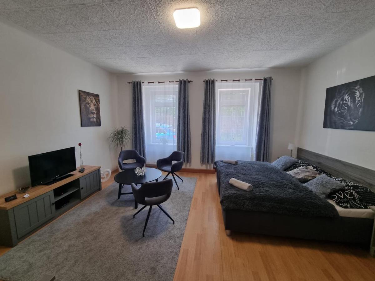 Apartmány Černý Tulipán # 1 Plzeň Kültér fotó