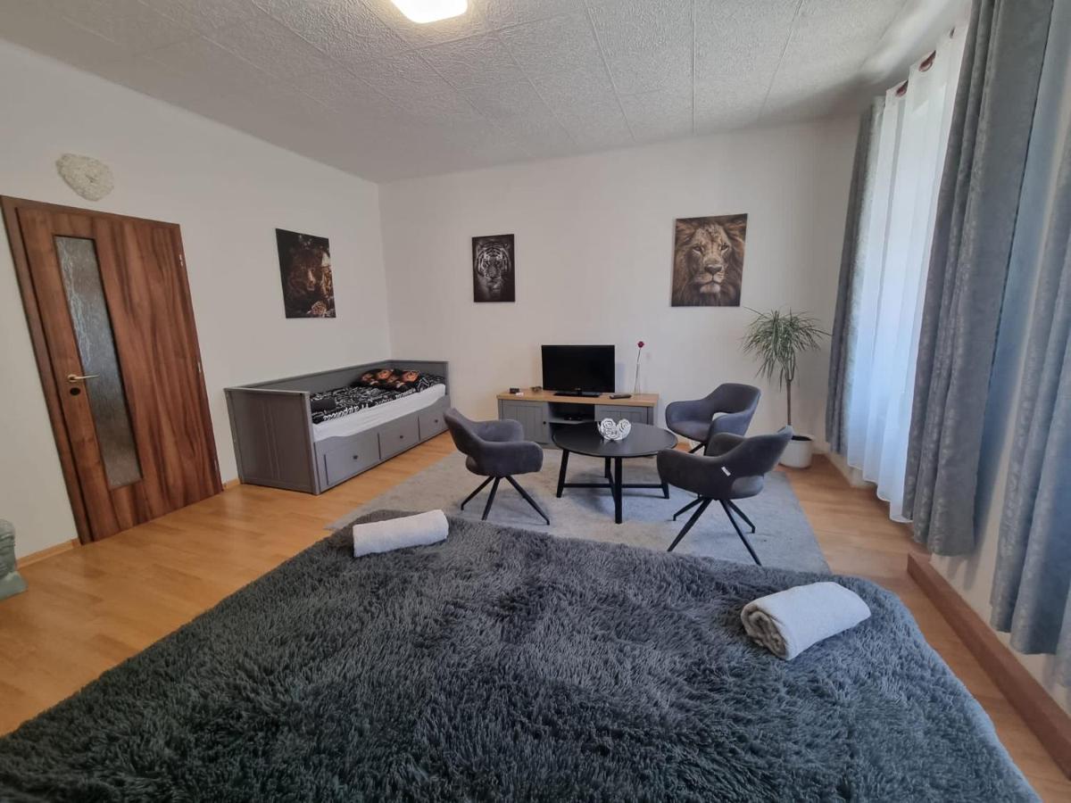 Apartmány Černý Tulipán # 1 Plzeň Kültér fotó