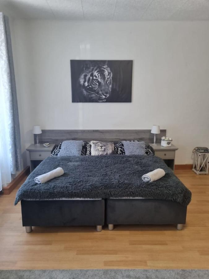Apartmány Černý Tulipán # 1 Plzeň Kültér fotó