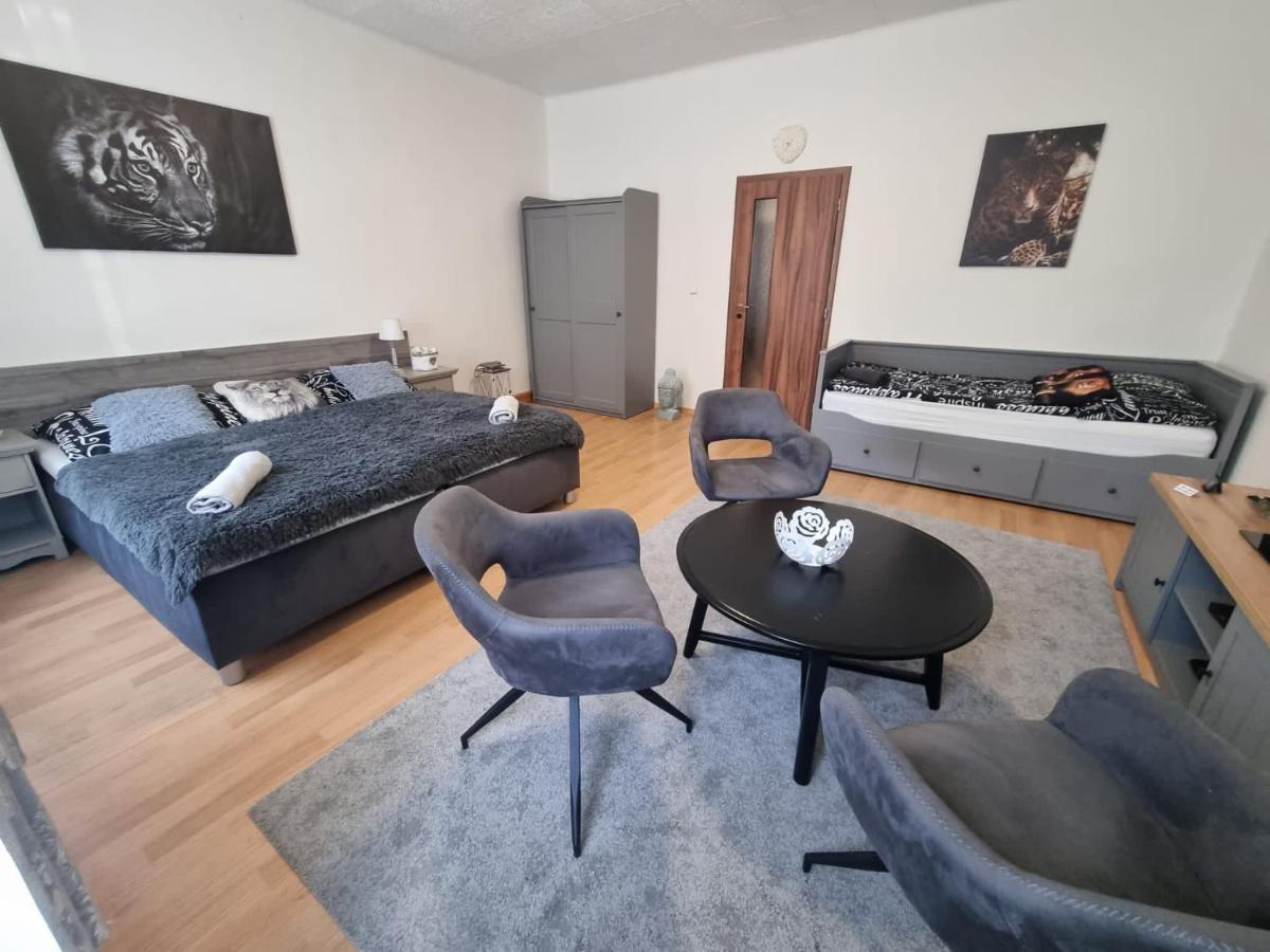 Apartmány Černý Tulipán # 1 Plzeň Kültér fotó