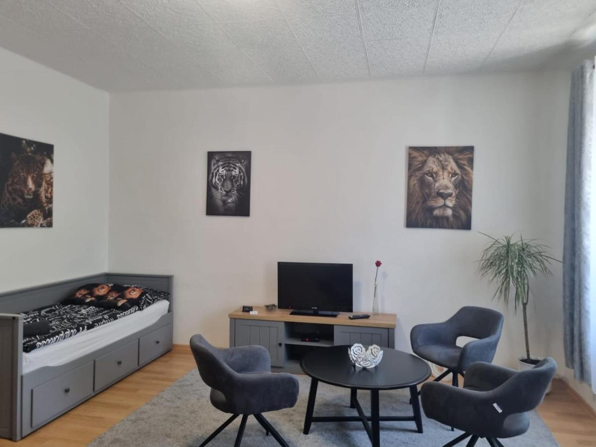 Apartmány Černý Tulipán # 1 Plzeň Kültér fotó