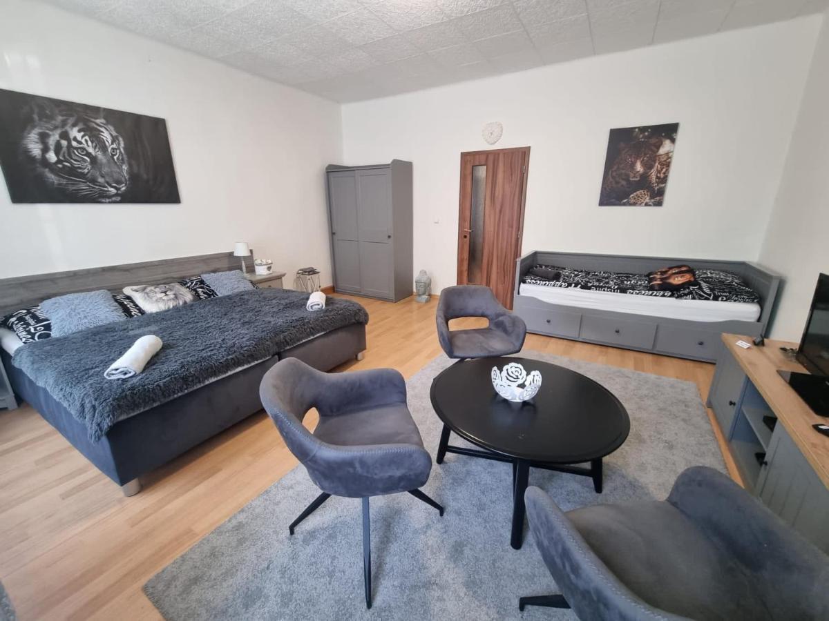 Apartmány Černý Tulipán # 1 Plzeň Kültér fotó